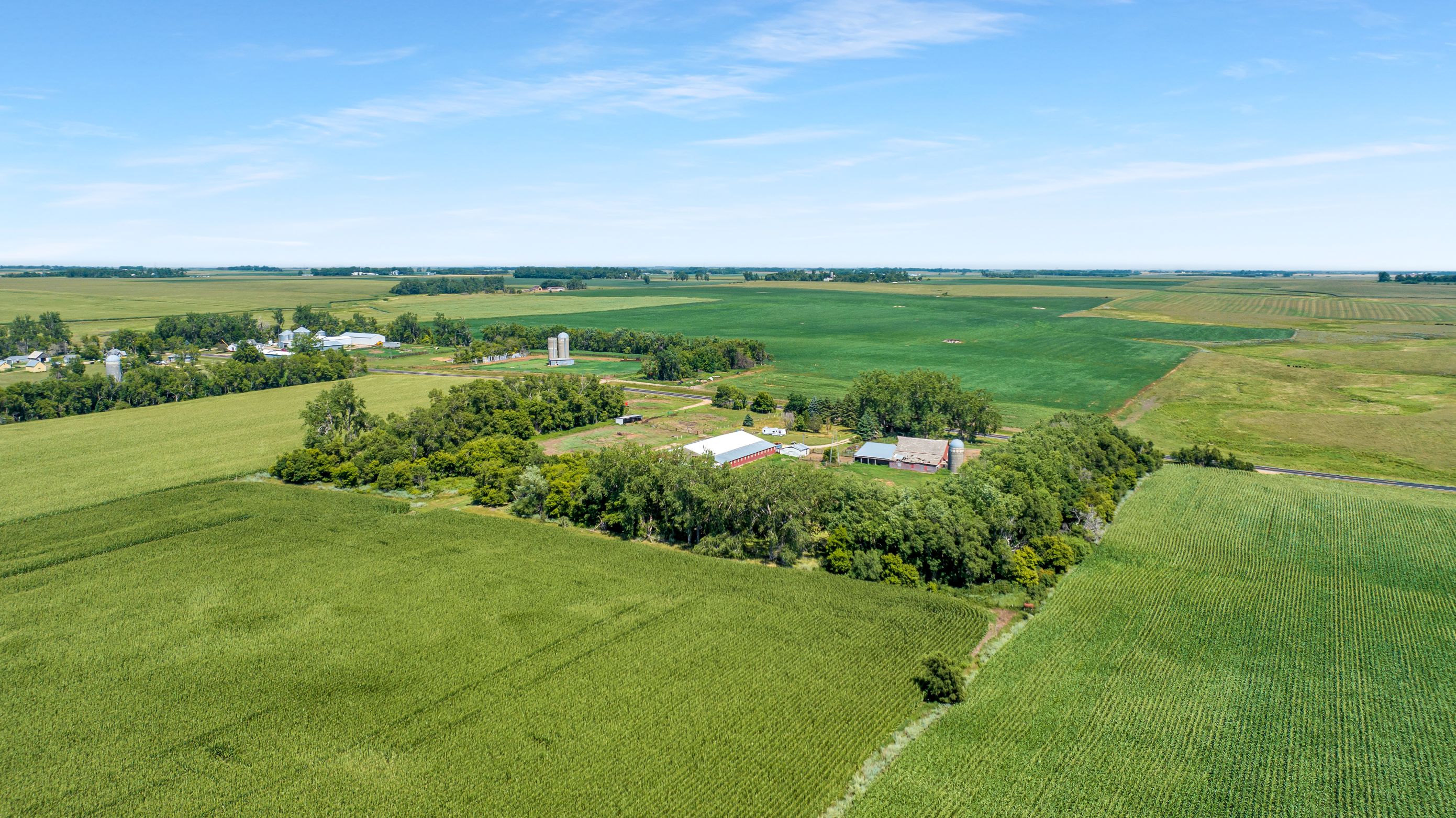 43.14 +/- Acre Land & Building Site Auction | Burlage Peterson