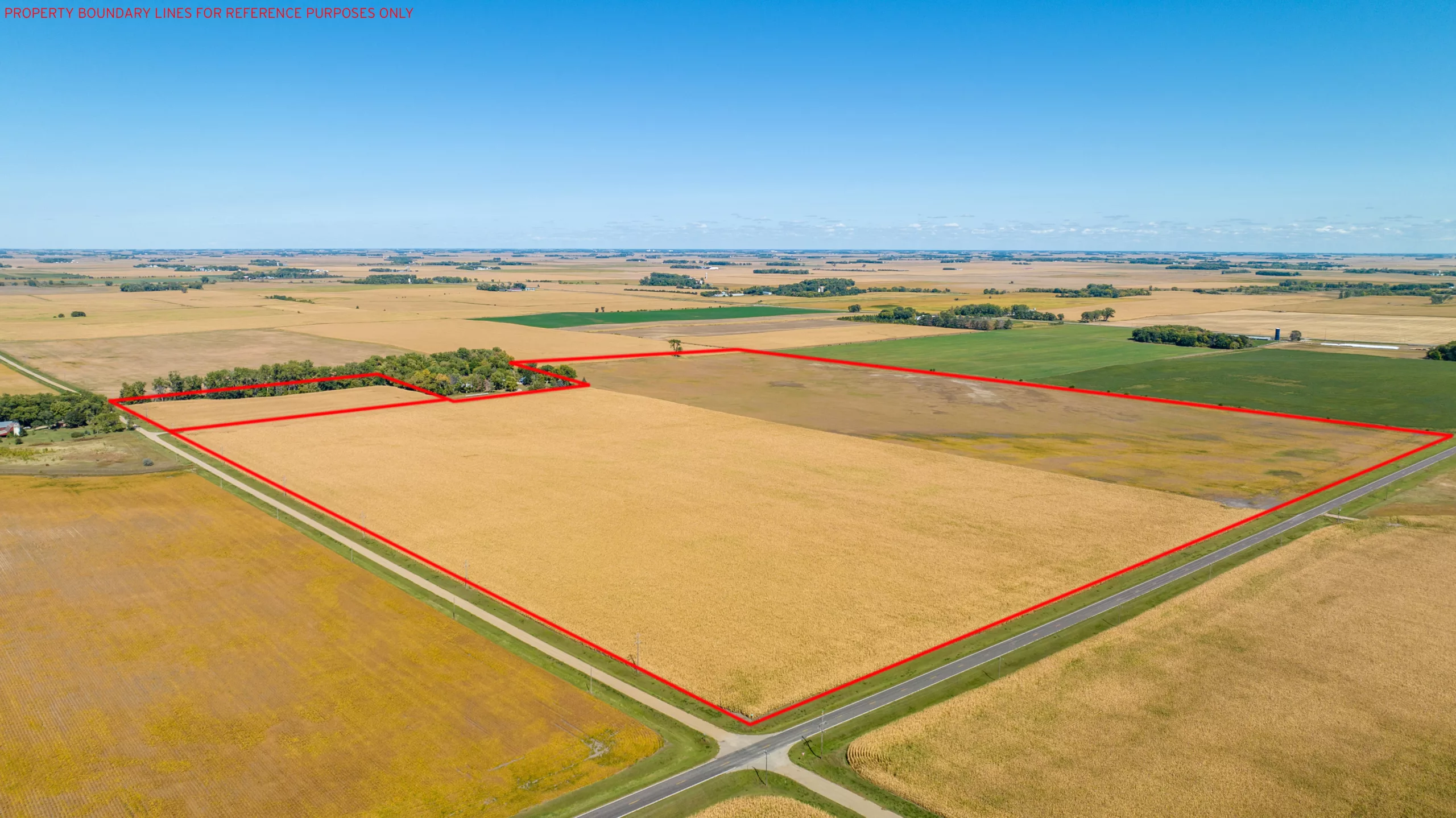 150.62 +/- Acre Land Auction, Yellow Medicine County, MN | Burlage Peterson