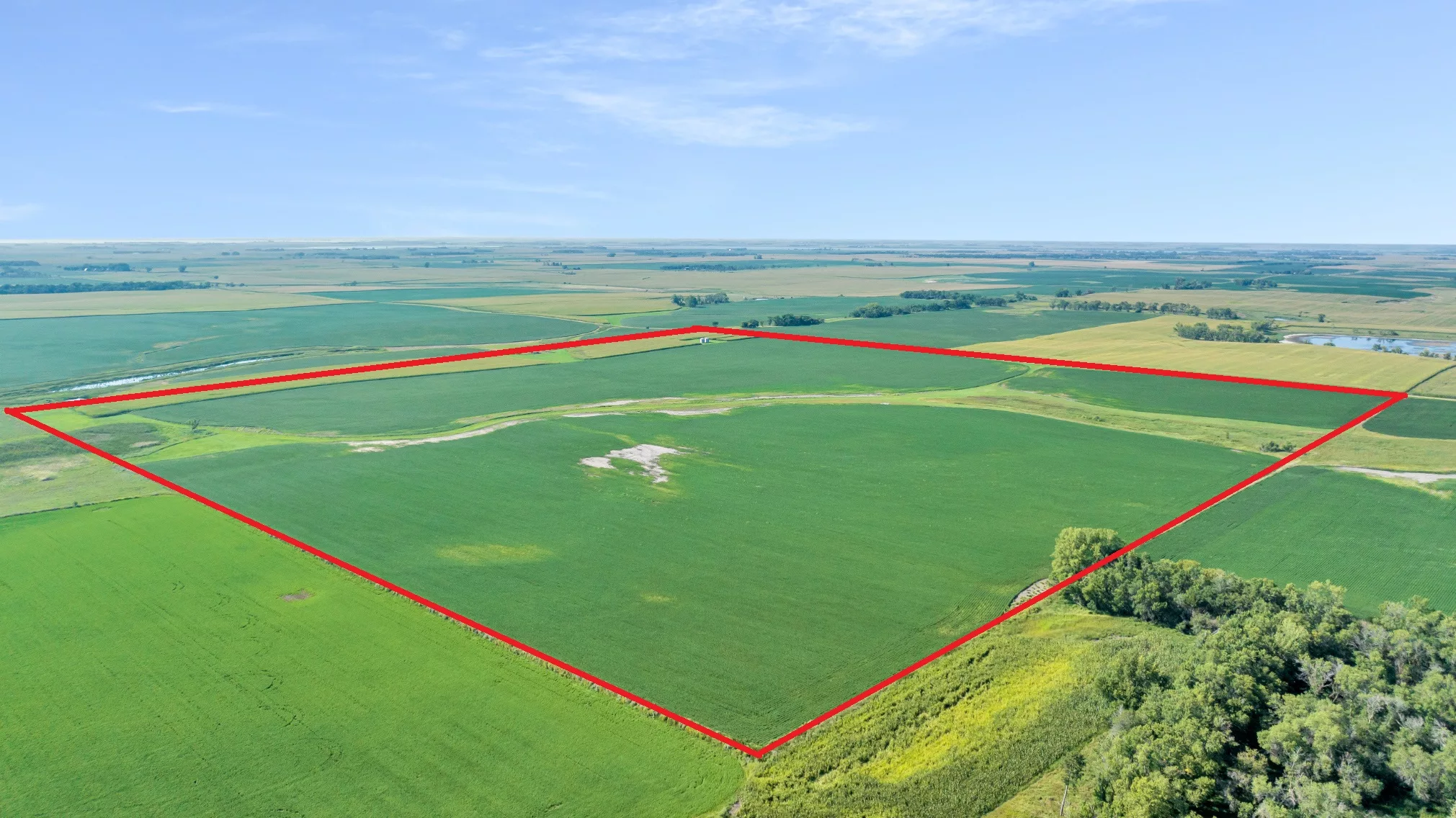 160 +/ Acre Land Auction, Spring Lake S Twp., Kingsbury Co., SD